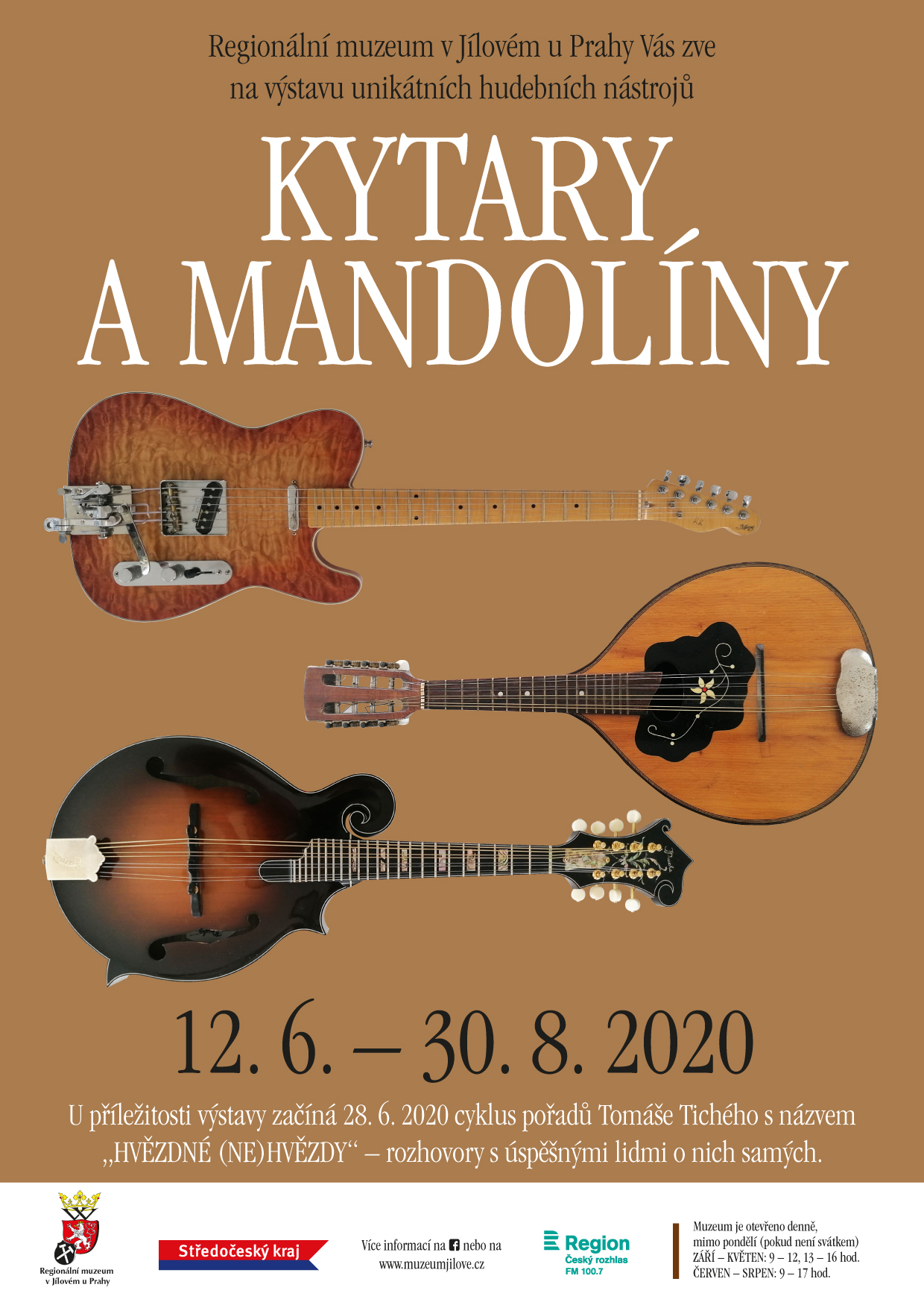 Kytary a mandolíny